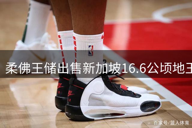 柔佛王储出售新加坡16.6公顷地王！土地增值税或达27亿